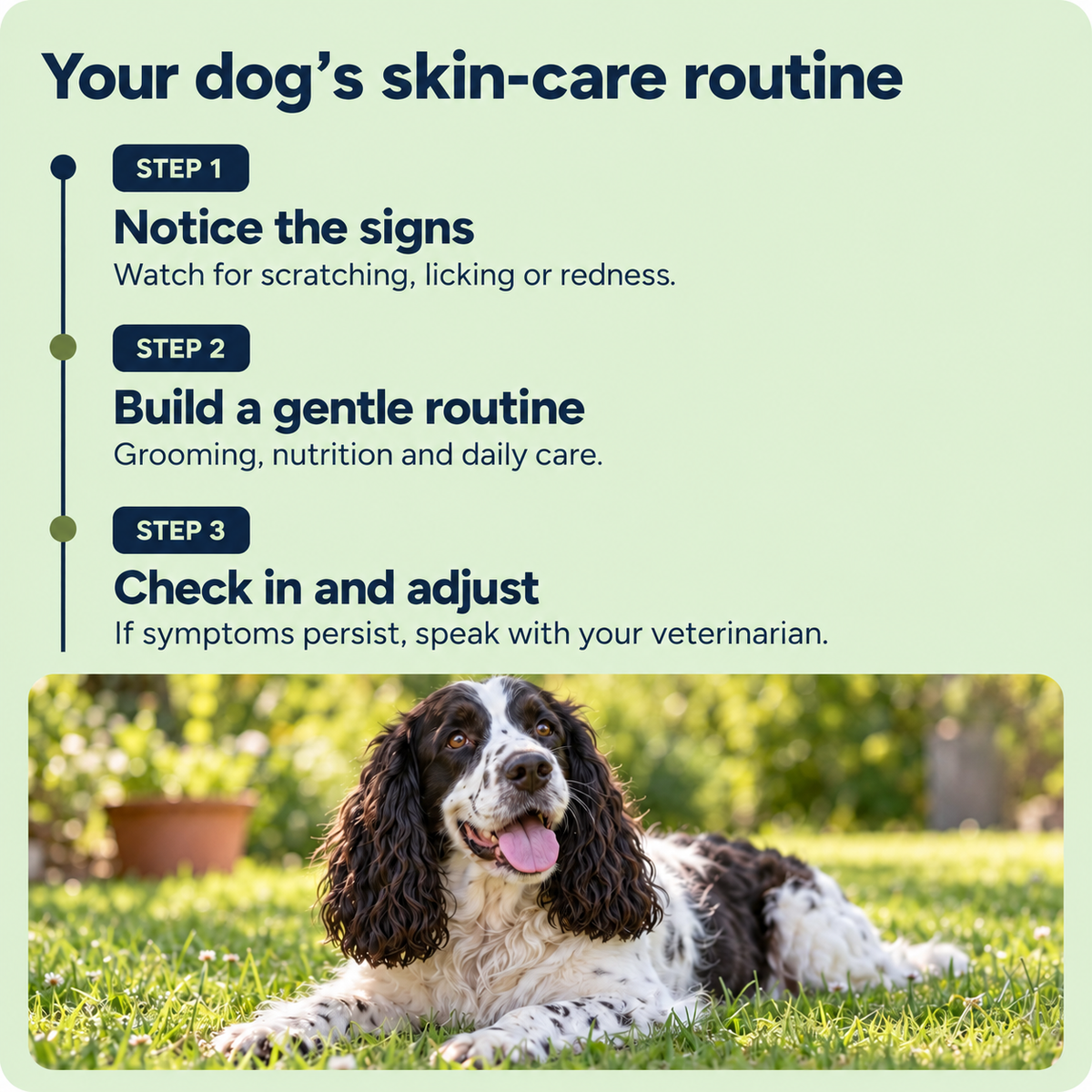 World Pet 4-in-1 Liquid Collagen for Dogs